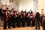 F.M. Saraceni F.M. Saraceni